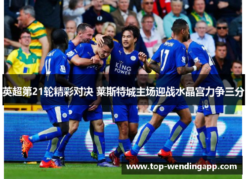 英超第21轮精彩对决 莱斯特城主场迎战水晶宫力争三分