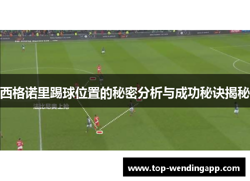 西格诺里踢球位置的秘密分析与成功秘诀揭秘