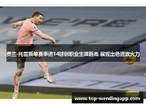 费兰-托雷斯单赛季进14球创职业生涯新高 展现出色进攻火力