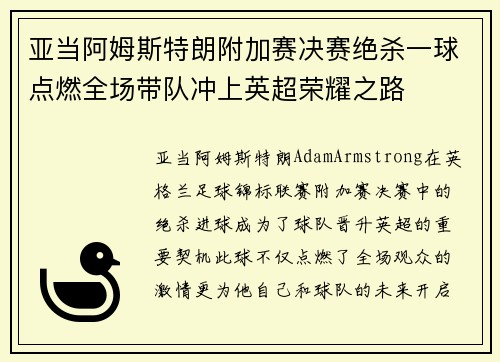 亚当阿姆斯特朗附加赛决赛绝杀一球点燃全场带队冲上英超荣耀之路
