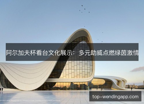 阿尔加夫杯看台文化展示：多元助威点燃绿茵激情